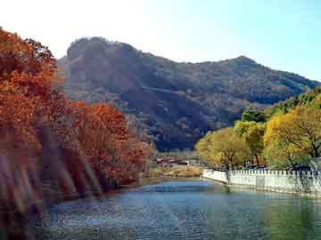 正新澳门二四六天天彩，山东大学体育学院